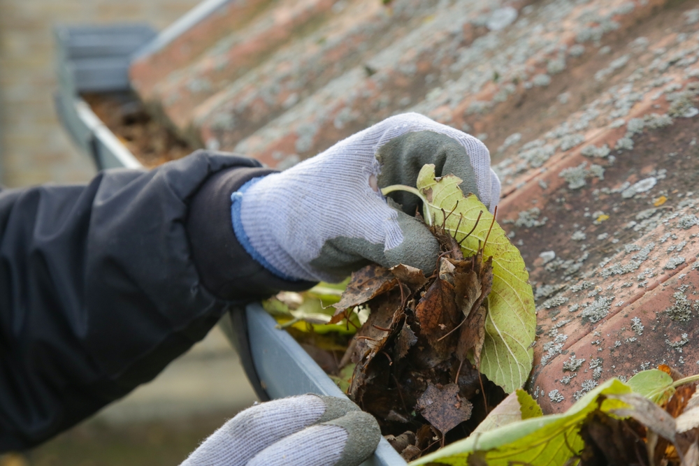 5 Best Gutter Cleaning Services in Cumming & NE Georgia